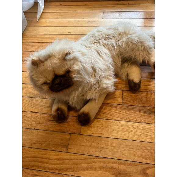 Cat Plush - Picture 3 of 9